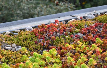 the cost of Newbury Park green roof installation