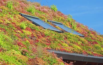 Newbury Park living roof systems