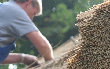 professional Newbury Park thatchers