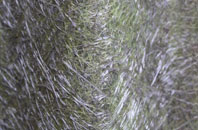 Newbury Park fibreglass roof work